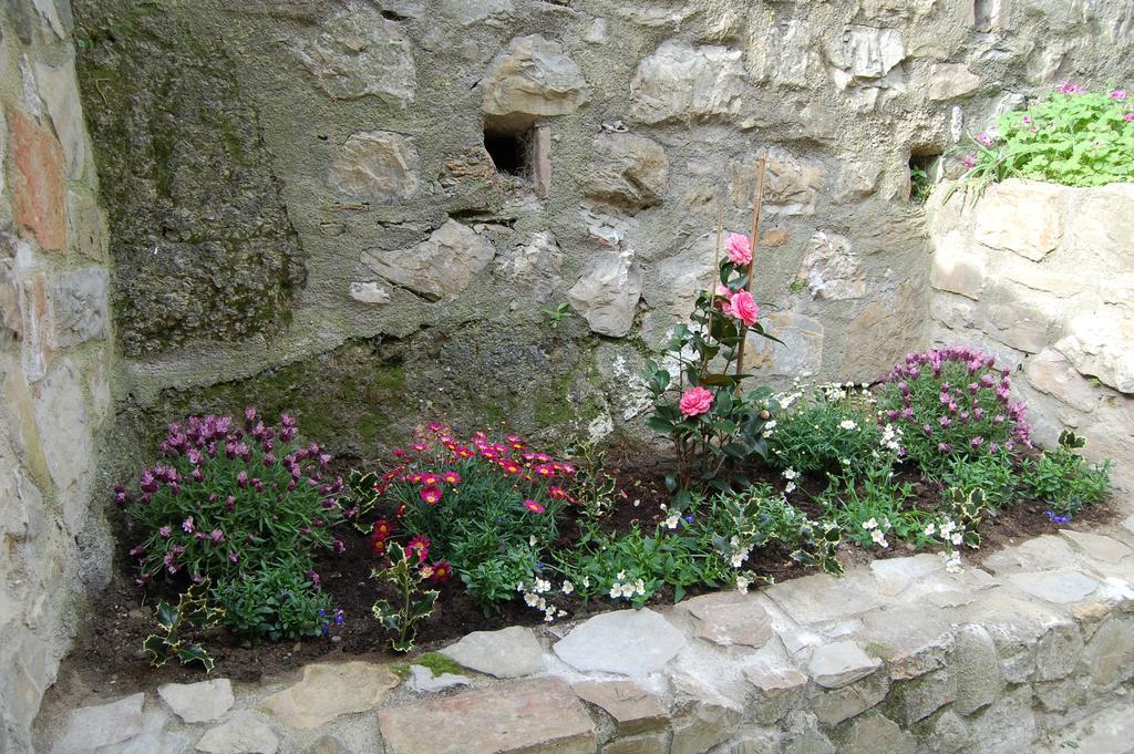 Emily House Hotel Montecerboli Exterior foto
